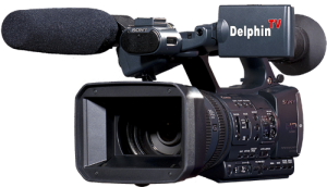 DelphinTV